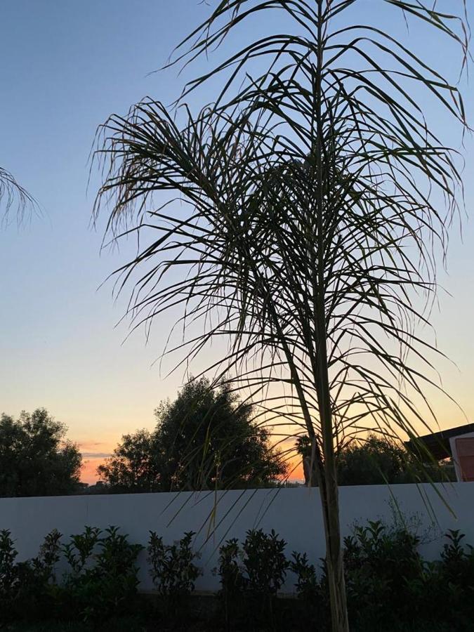 Villa Per Vacanze Isola Fanusa Buitenkant foto